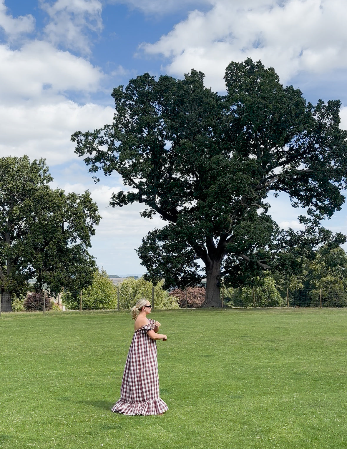 CHOCOLATE BROWN GINGHAM ROSEBUD MAXI