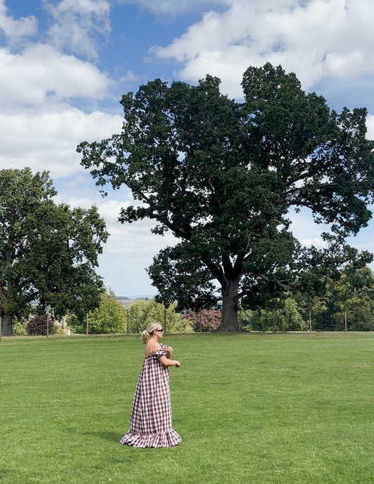 CHOCOLATE BROWN GINGHAM ROSEBUD MAXI